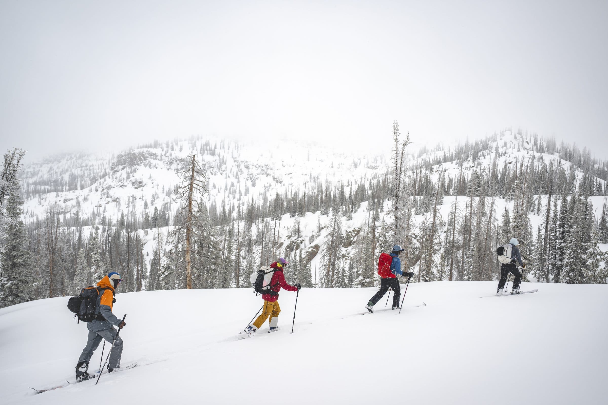 Human Powered Backcountry Touring